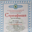 Бибигуль Досибаева 2